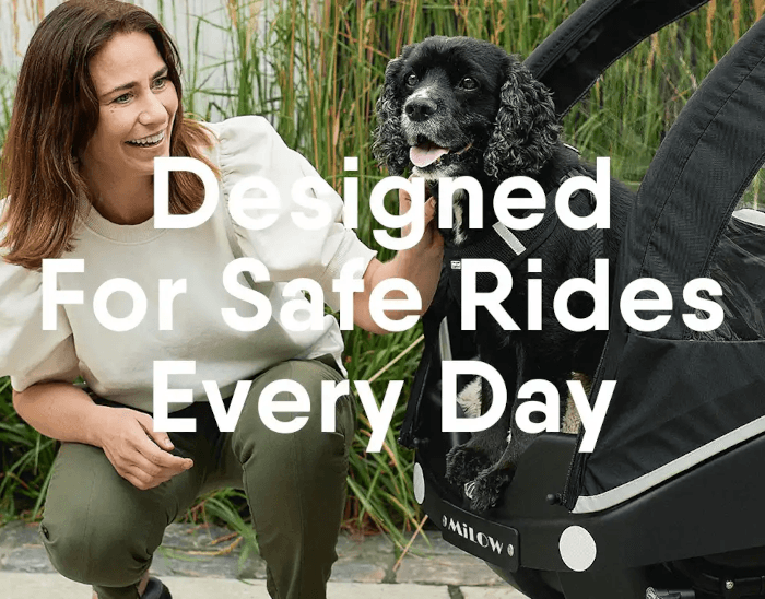 Winther Kangaroo Dog elektrisch Winther bikes bakfietsen