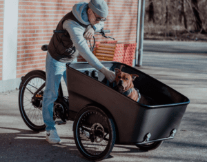 Promovec Dynamic cargo hond