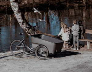 Promovec dynamic cargo - sfeer
